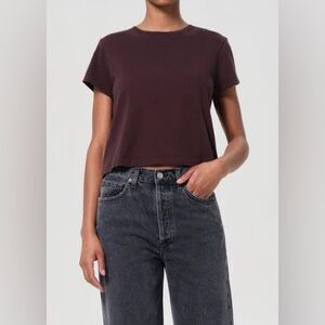 NWT Agolde Adine Shrunken Tee